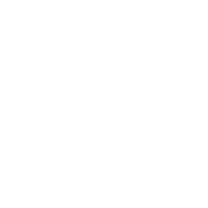 Team Members